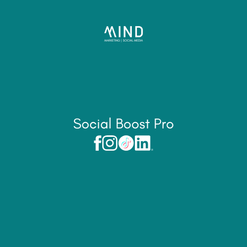 Social Boost – 12 Contenuti (Facebook - Instagram - TikTok o Linkedin)